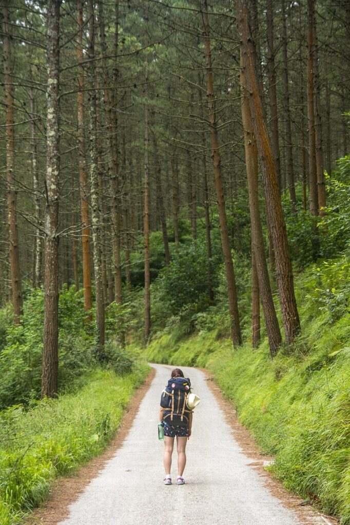 wandern feldberger seenlandschaft