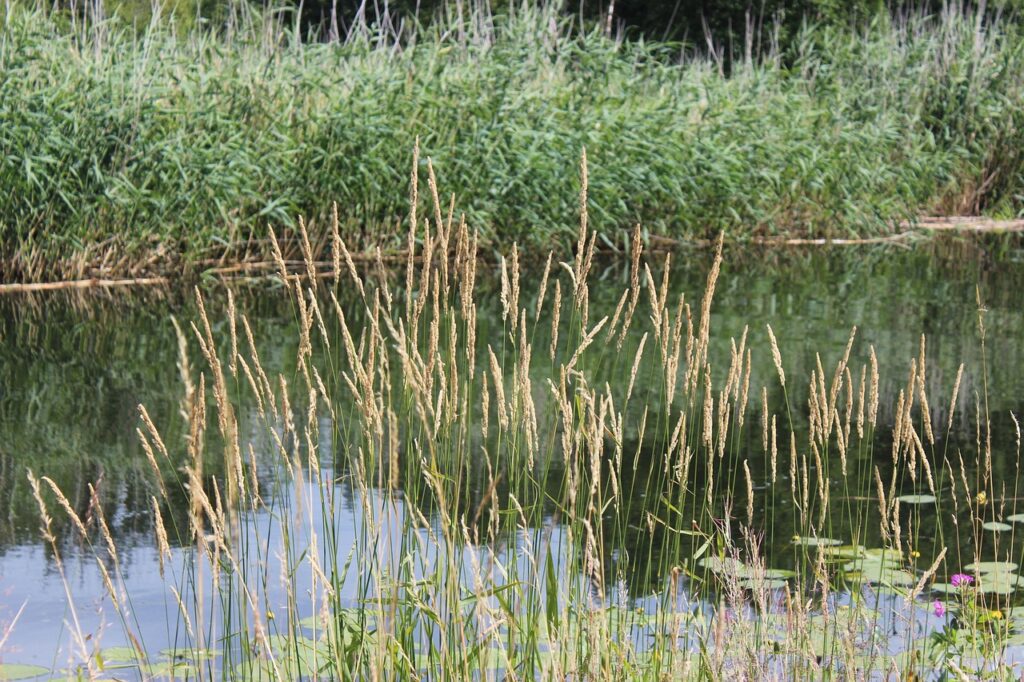 Naturpark Seenlandschaft