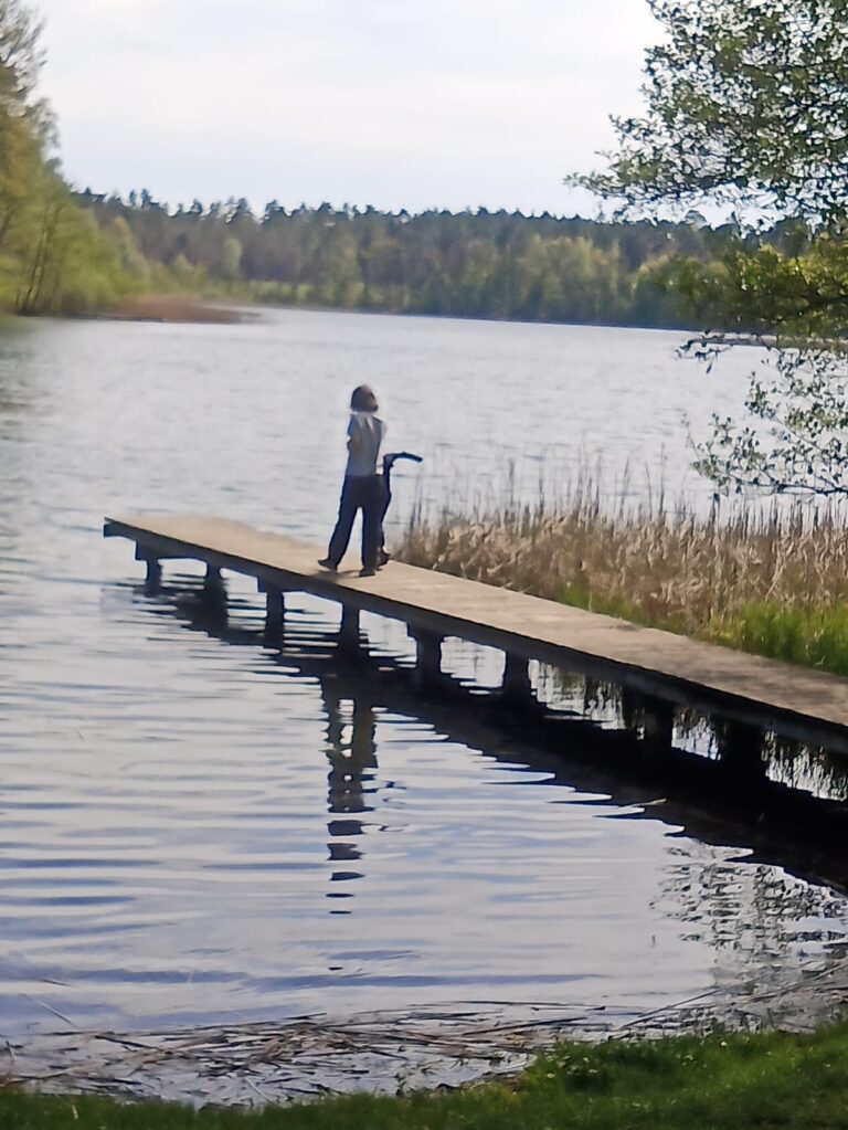 Ferienbungalow Feldberger Seenlandschaft